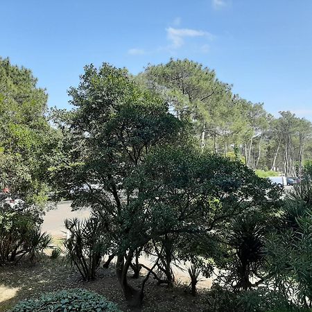 Appartement Seignosse, 1 pièce, 2 personnes - FR-1-239-437 Esterno foto