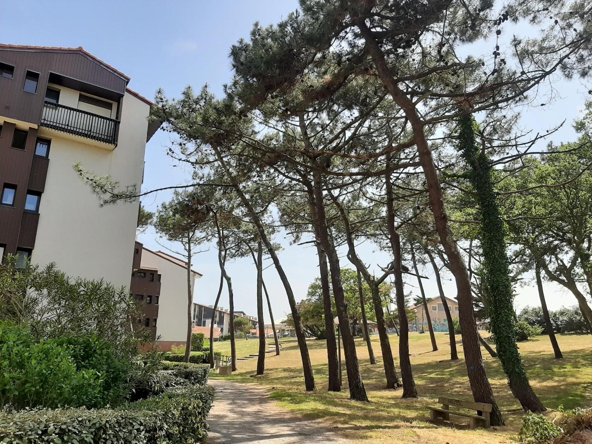 Appartement Seignosse, 1 pièce, 2 personnes - FR-1-239-437 Esterno foto